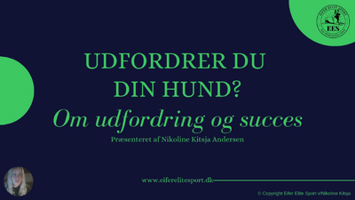UDFORDRINGER - motivations kursus ONLINE