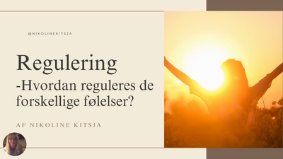 4. regulering 