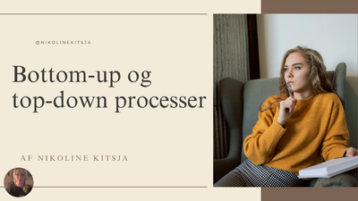 8. buttom up og top down processer