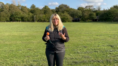 Tilstand hos hundefører