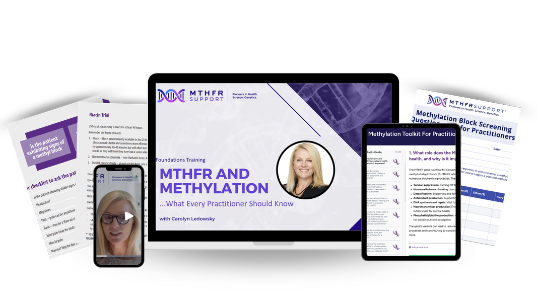 Methylation toolkit- Mock Ups