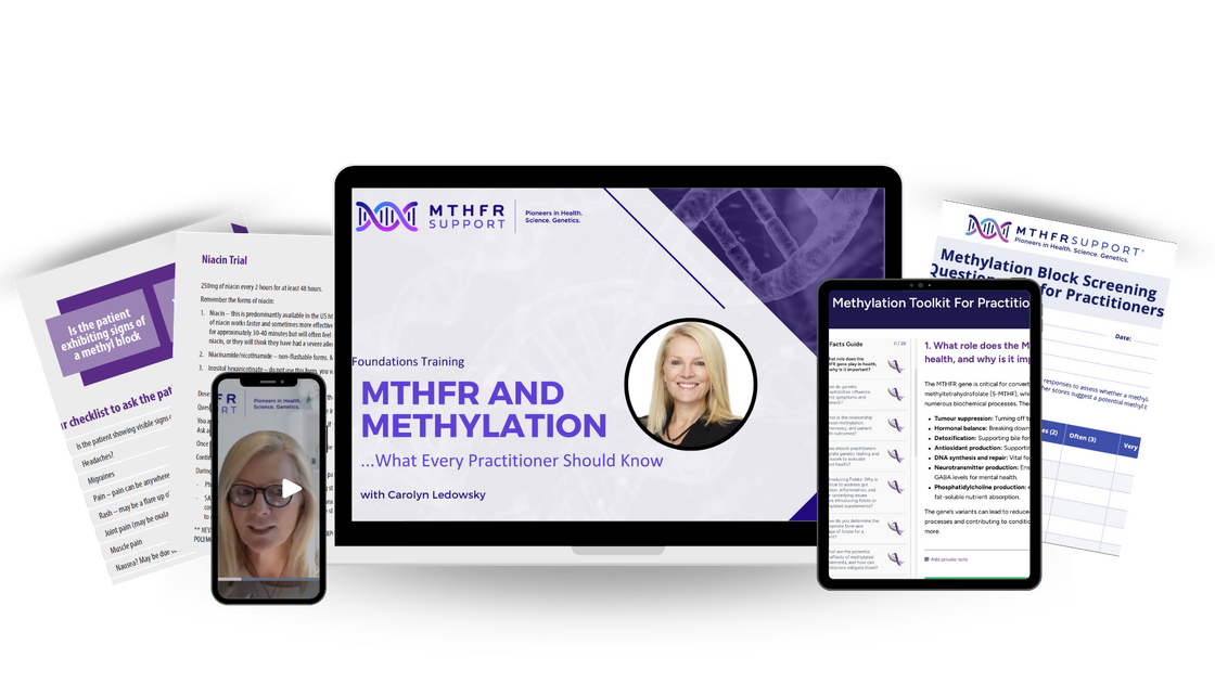 Methylation toolkit- Mock Ups