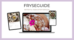 Fyseguide