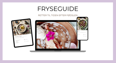 Fyseguide