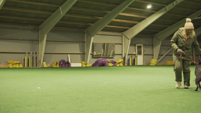 Maggie blandet fri ved fod med Bjørnskov