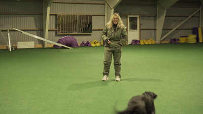 Maggie moment 3 plus sjov