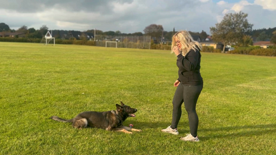 Om pres og indlært stress i FVF Nikoline og Carla