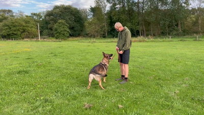 Undervisningsvideo Rasmus