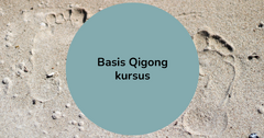 Basis Qigong Kursus cover