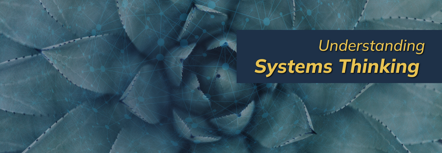 Systems Thinking _blog banner