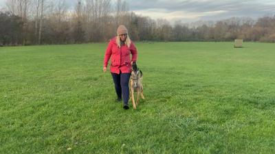 Nikoline og Diva træningssession