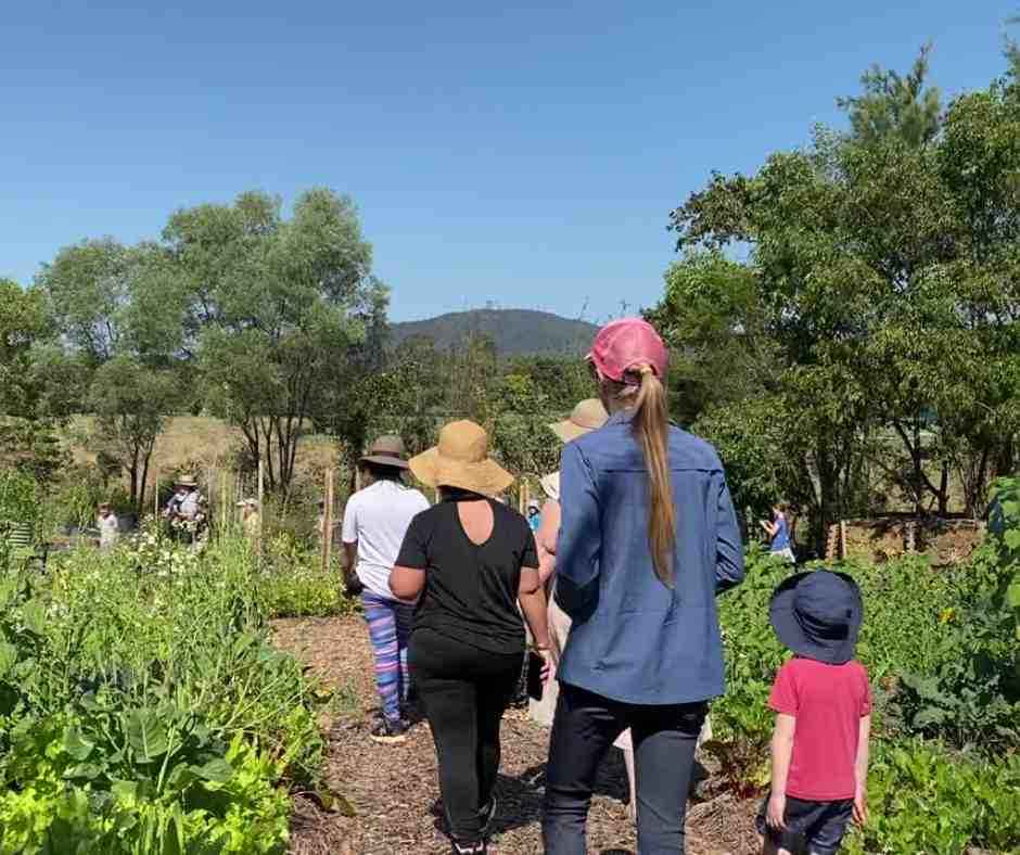 group walking