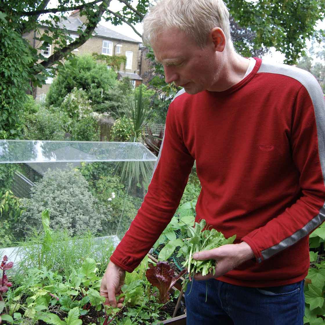 Picking salad on my London balcony