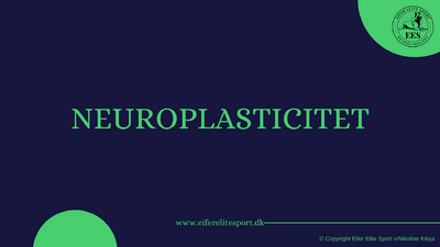 Forside til online lektioner (6)