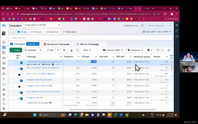 Analyzing analytics for FB ads