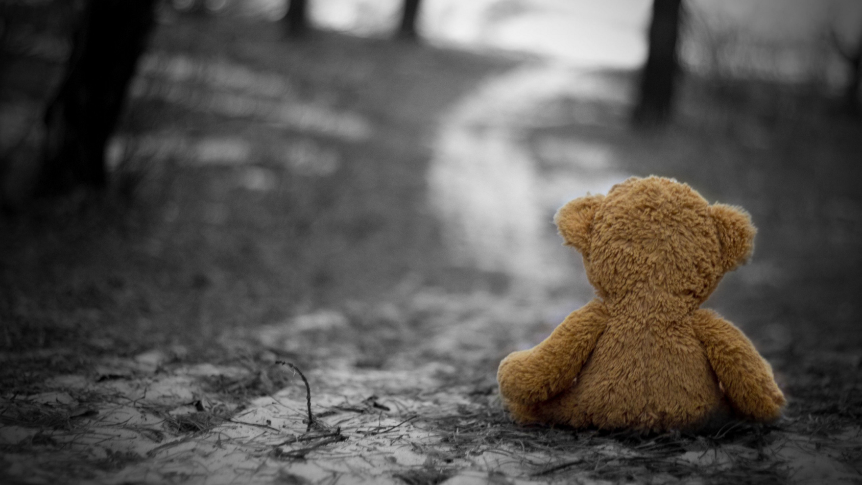 teddy bear lone road