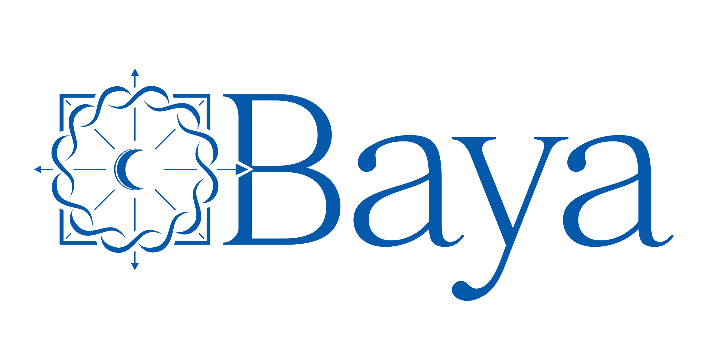 Baya Salmon-Hawk logo