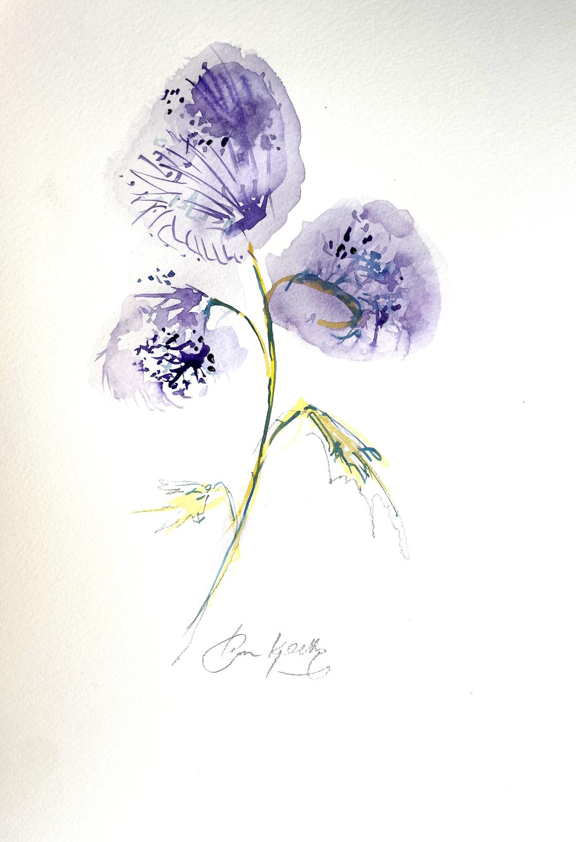 Honningurt i akvarel