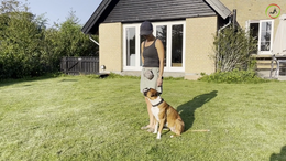 1. Johanne & Christian with Berta - Exercise 1 - Phase 1 - Sit beside me in the learning phase - Captions