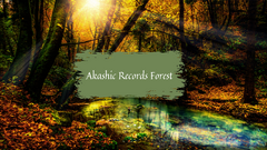 Akashic Record Forest