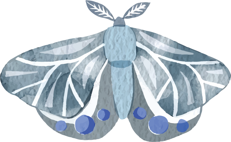 butterfly_blue