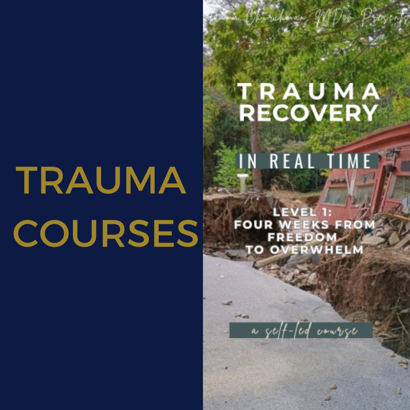 Trauma courses logo.with image.home page