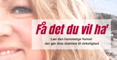 Få det du vil ha'