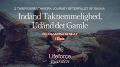 Breathwork journey 28 dec-2