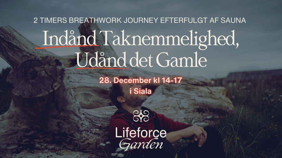 Breathwork journey 28 dec-2