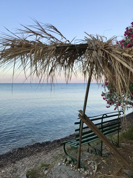 A bench looking out over the sea