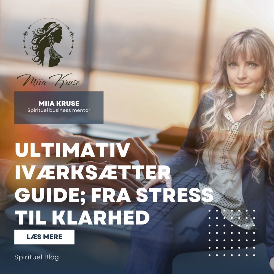 ultimativ iværksætter guide fra stress til overblik