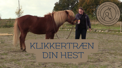 Klikkertræn din hest