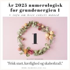 2025 Numerologi - grundenergien 1 - post