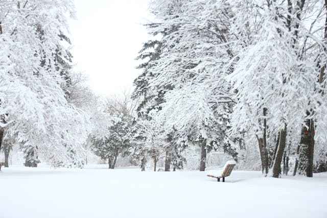 Winter Stillness