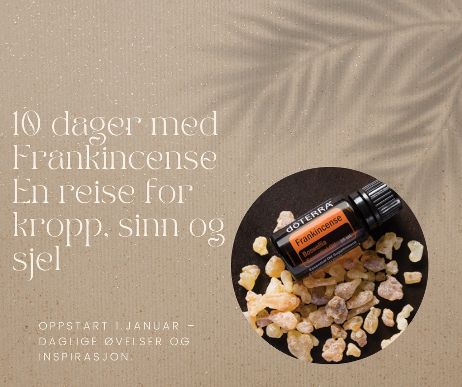 10 dager med Frankincense – En reise for kropp, sinn og sjel