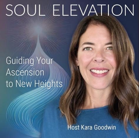 aqua and purple logo, smiling woman Soul Elevation