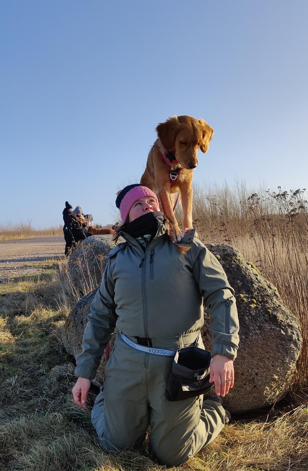 Dogparkour - hund på skulder Amy Tine