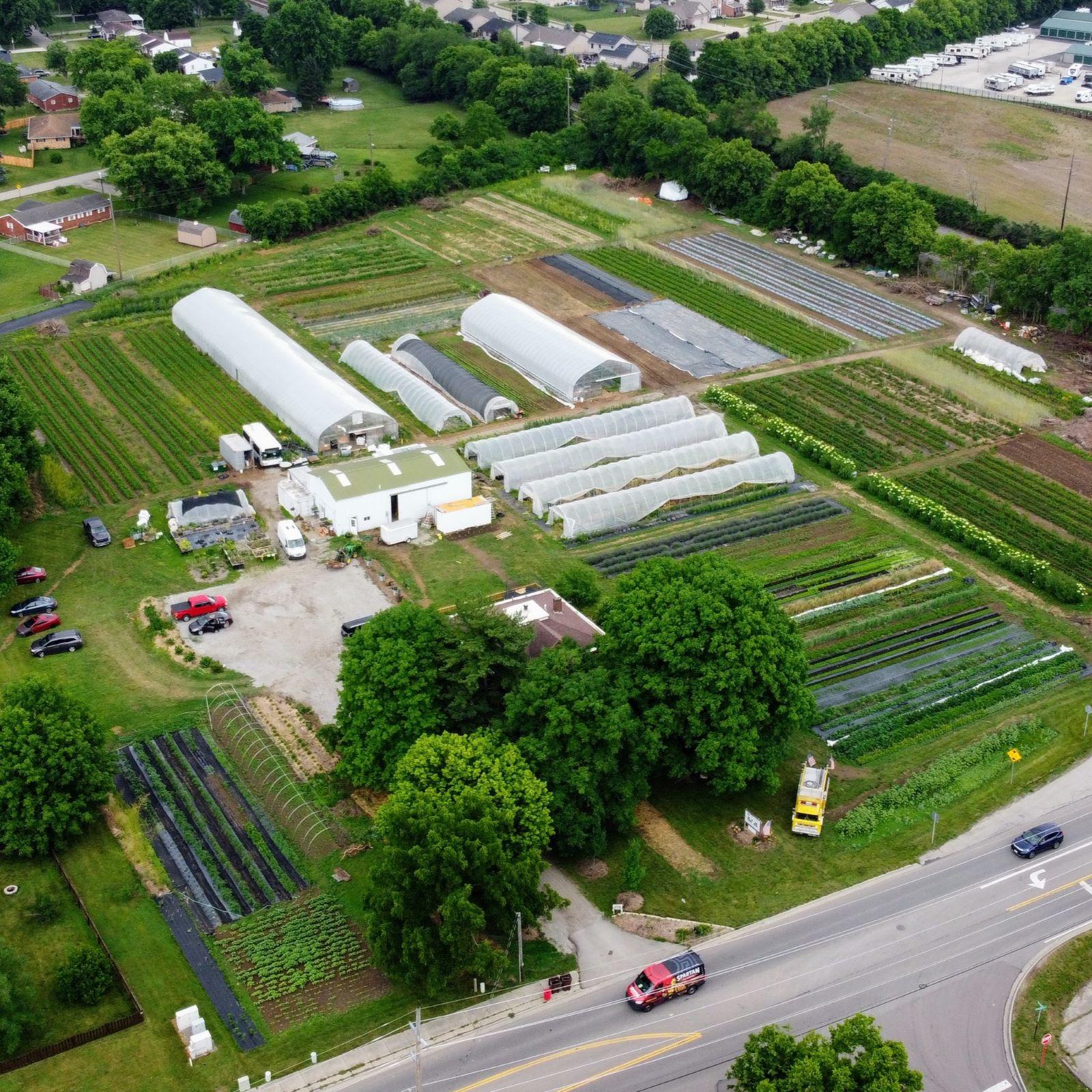 foc aerial view square