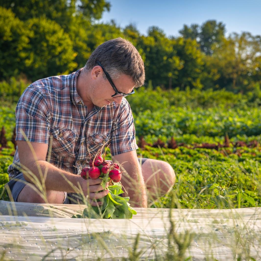 michael holding radishes square
