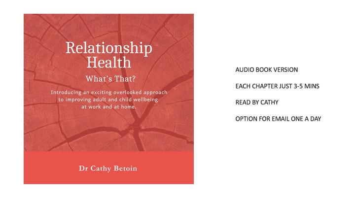 Screenshot 2025-01-05 173728-audio