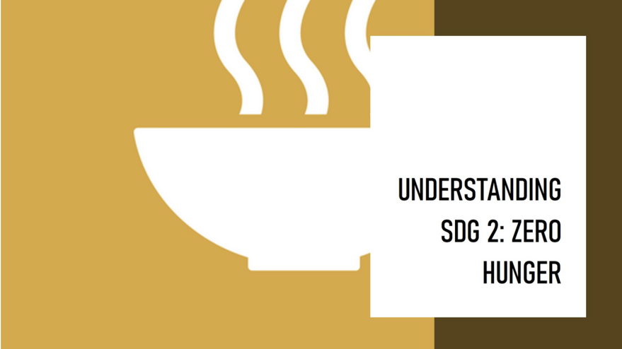 Understanding SDG 2 Zero Hunger