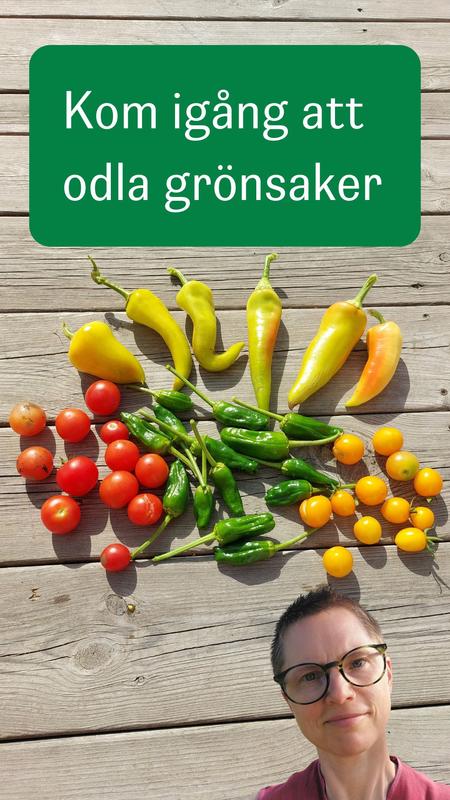 Produktbild Kom igång att odla grönsaker