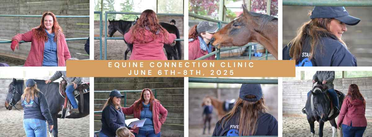 equine Connection clinic june 6th-8th, 2025