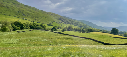 Swaledale hay meadows