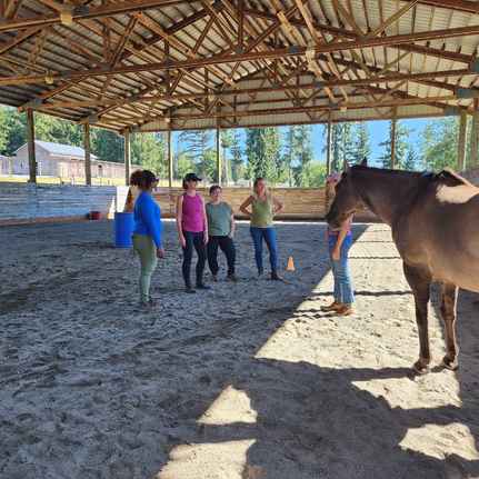 equine assisted learning programs Seattle Washington