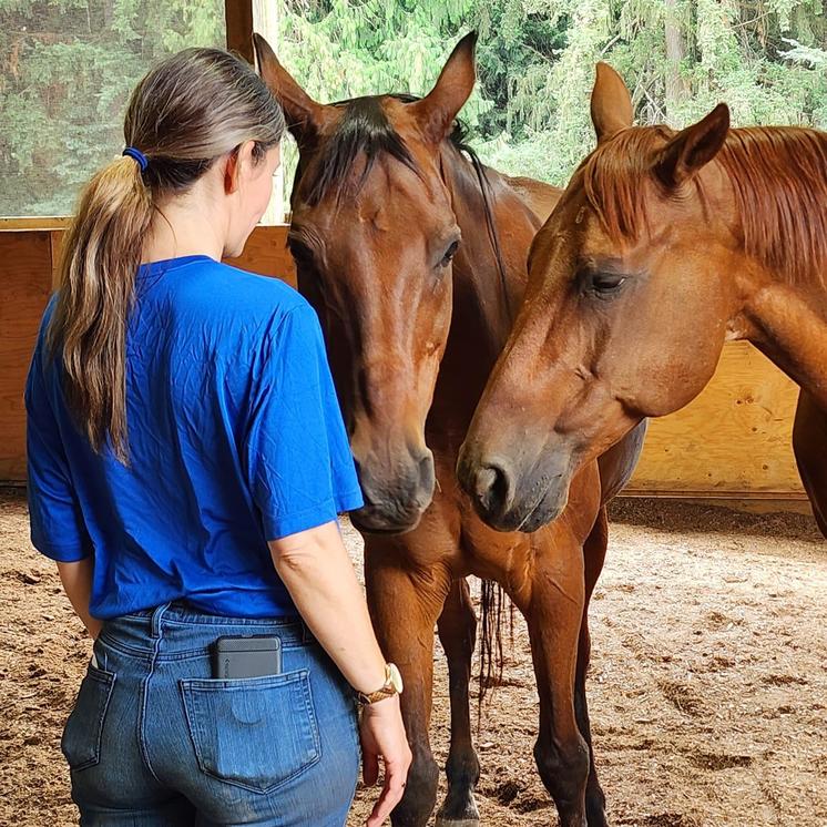 equine-assisted-leadership-washinton-4