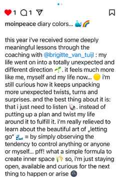 A testimonial on instagram for Brigitte van Tuijl