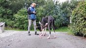 8. Tina with Junior - Exercise 4 - Phase 1 - with a mix of what the dog already knows - Captions