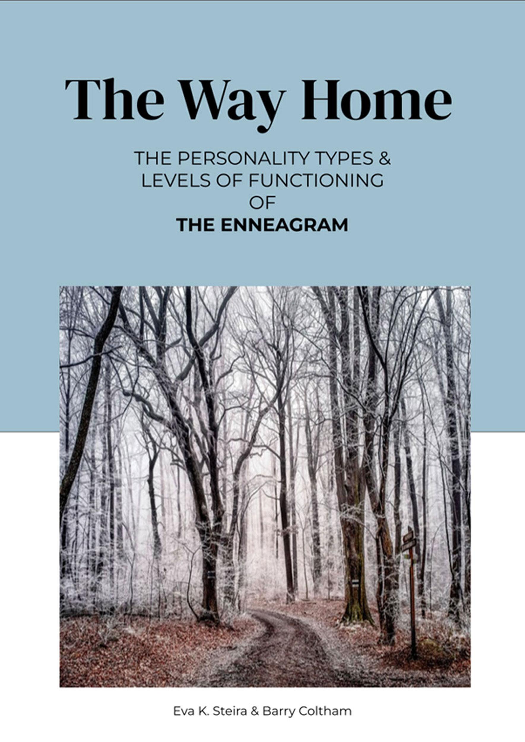 The Way Home - cover for Amazon