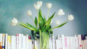 tulips bookshelf crop